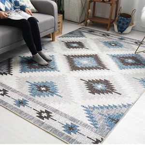 Indoor/ Outdoor Area Rug